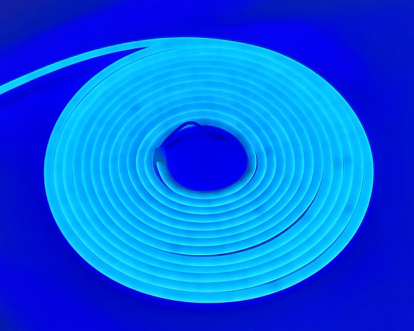 Neon Flex- BLUE
